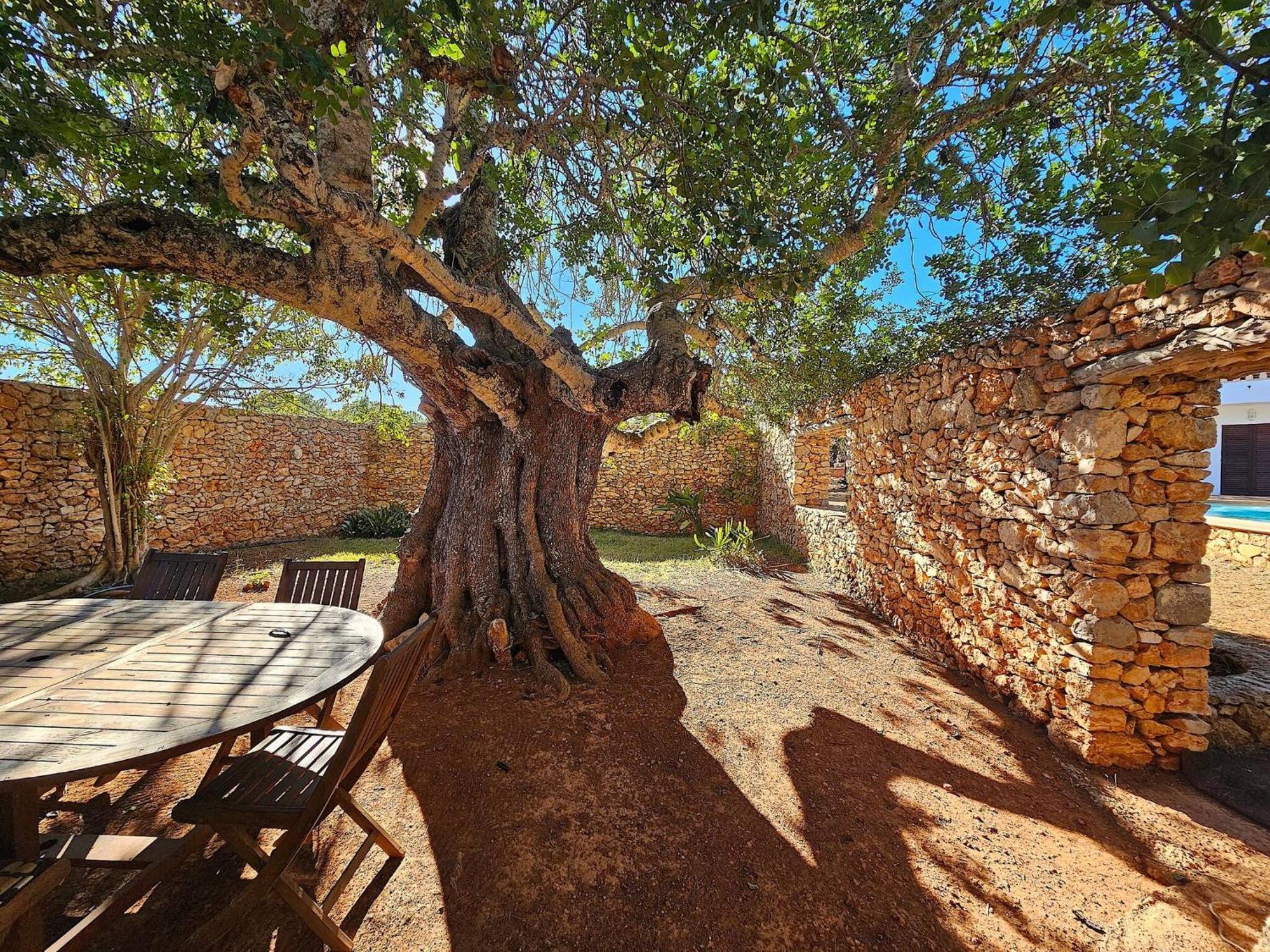 Cala Jondal "Can Amanaya" Sant Josep de sa Talaia Ngoại thất bức ảnh